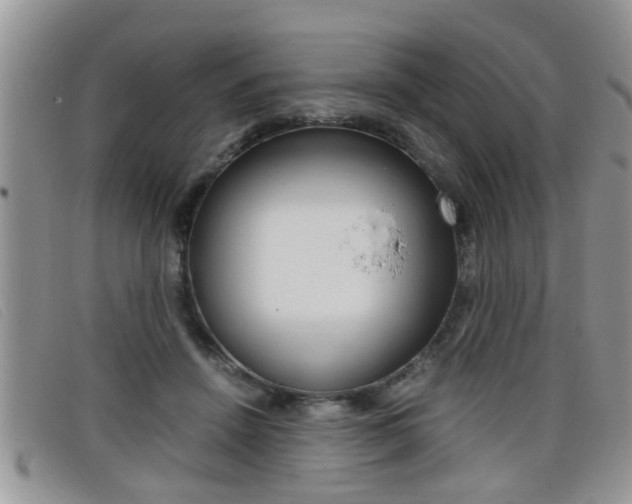 X0000099430456200805090730