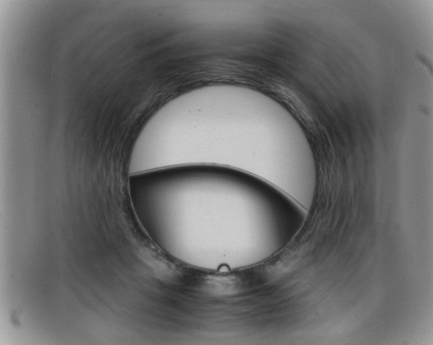 X0000099430457200805090730