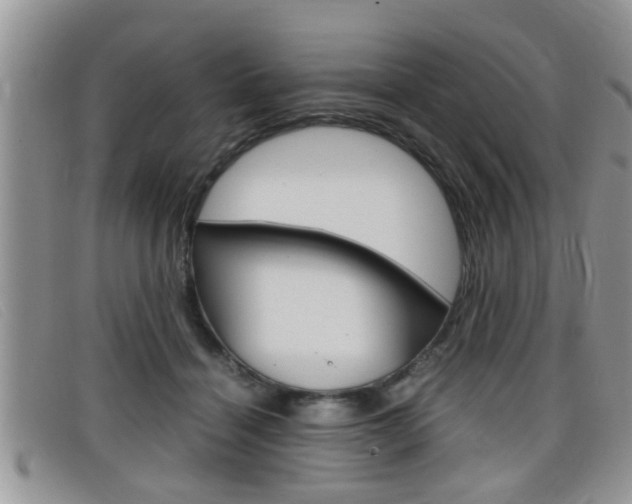 X0000099430460200805090730