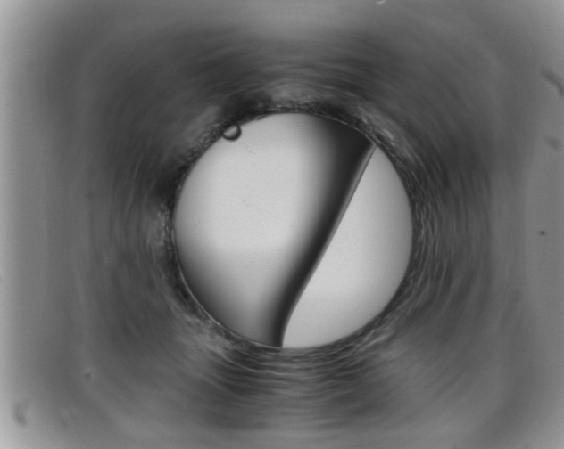 X0000099430463200805090730