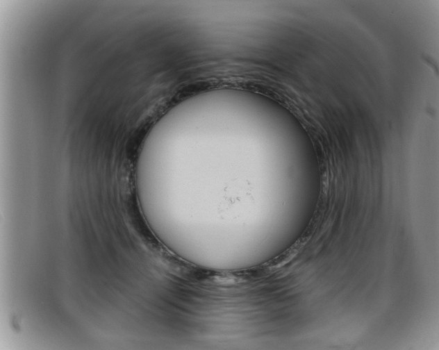 X0000099430464200805090730