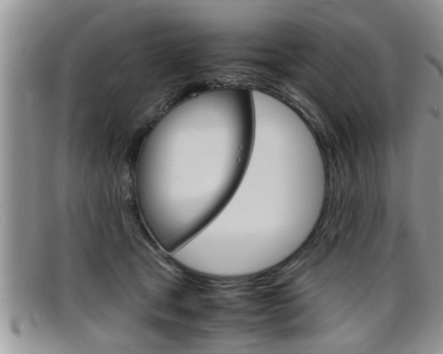 X0000099430465200805090730