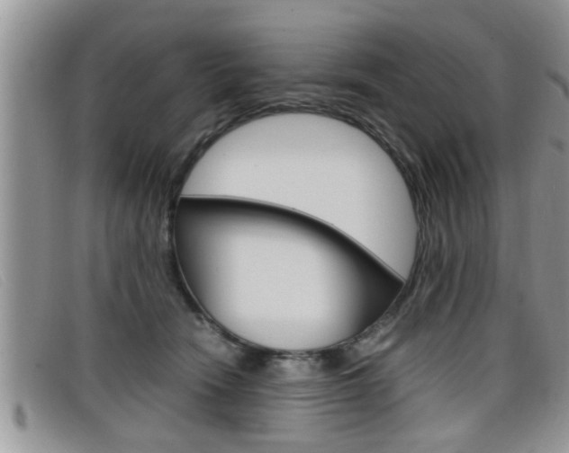 X0000099430466200805090730