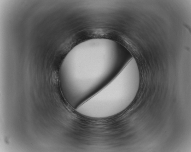 X0000099430467200805090730
