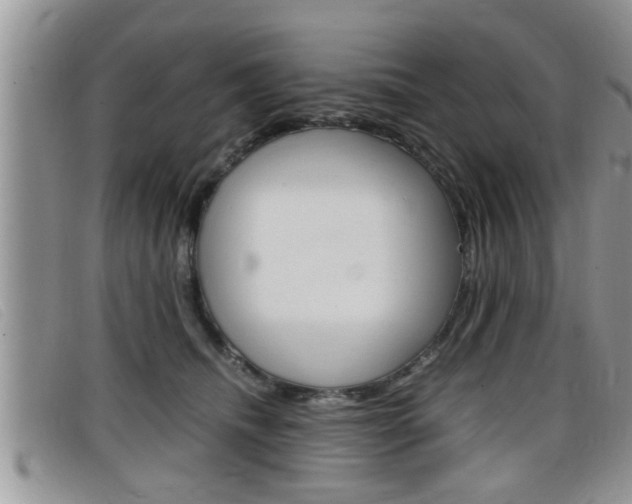 X0000099430468200805090730