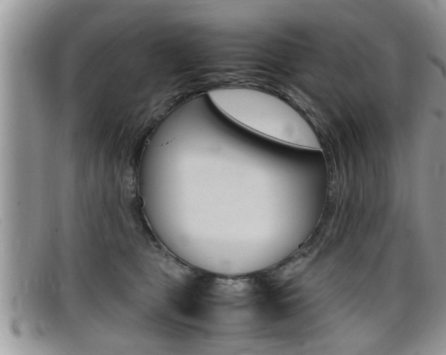 X0000099430469200805090730