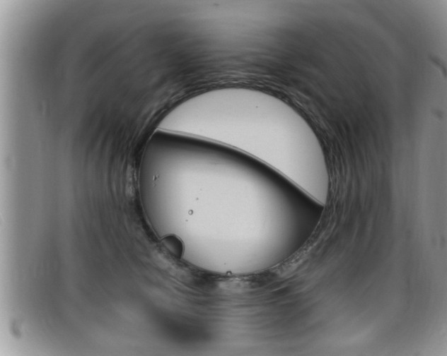 X0000099430470200805090730