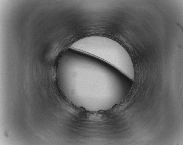 X0000099430471200805090730