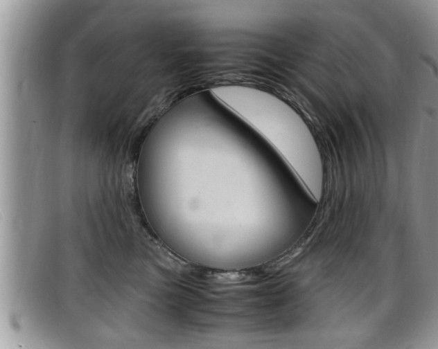 X0000099430473200805090730