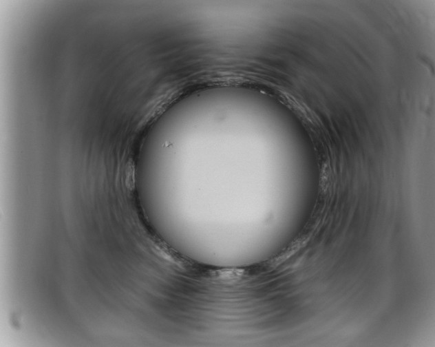 X0000099430474200805090730