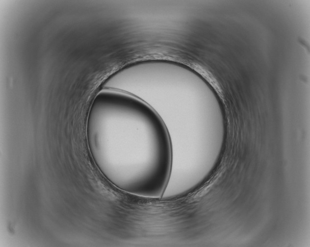 X0000099430481200805090730