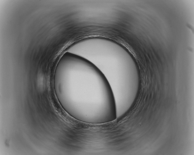 X0000099430482200805090730