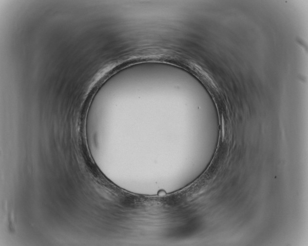 X0000099430483200805090730
