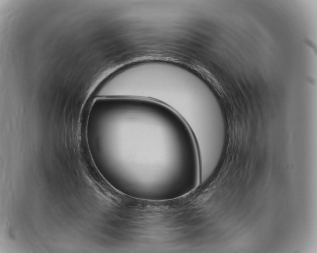 X0000099430484200805090730