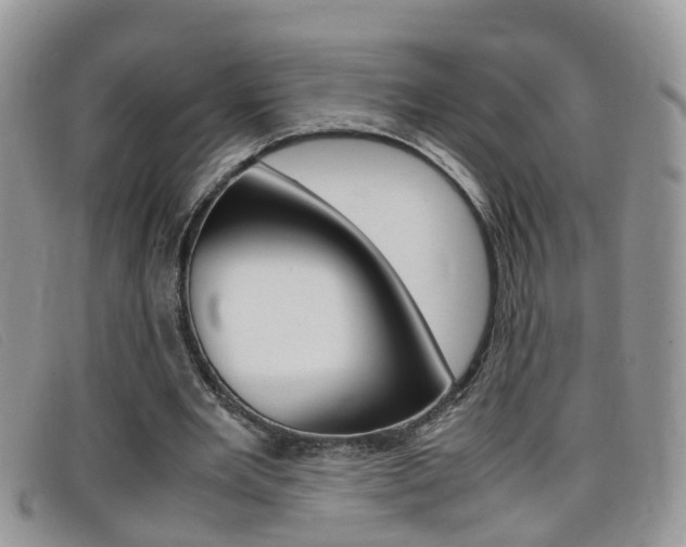 X0000099430485200805090730