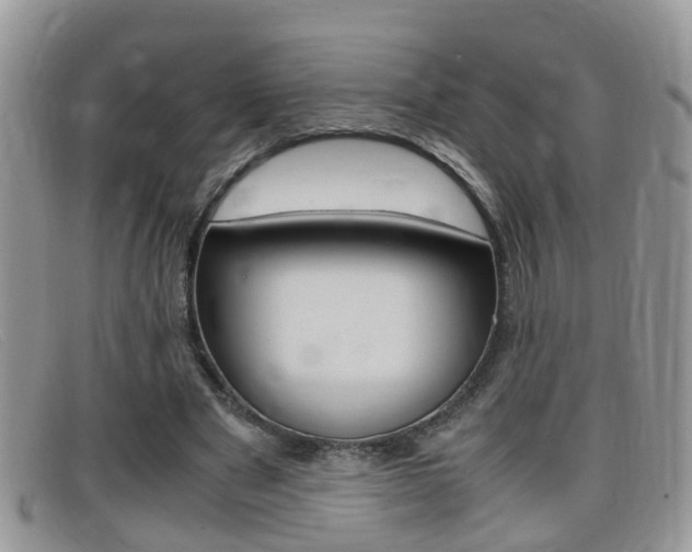 X0000099430489200805090730