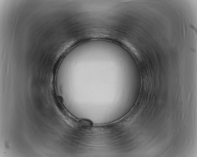 X0000099430490200805090730