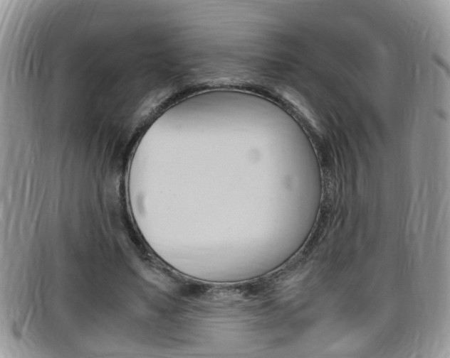 X0000099430491200805090730