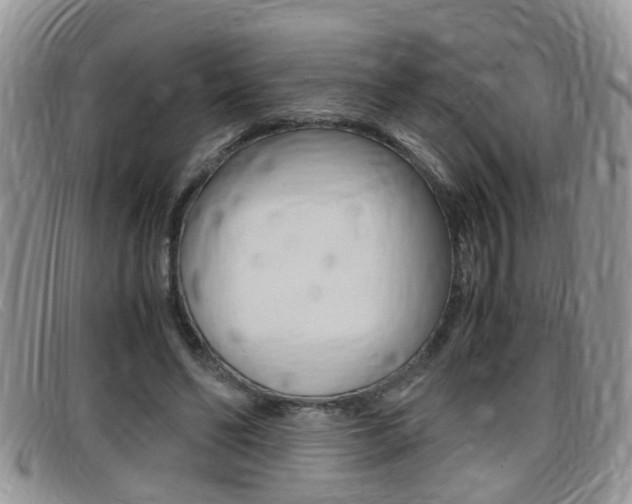 X0000099430494200805090730