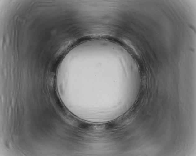 X0000099430495200805090730
