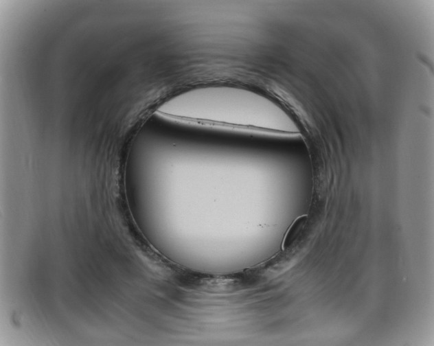 X0000099430497200805090730