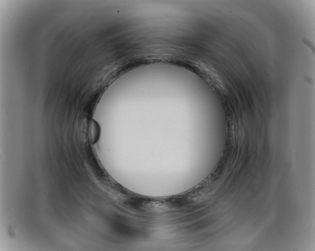 X0000099430498200805090730