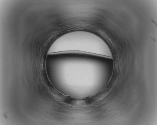 X0000099430501200805090729