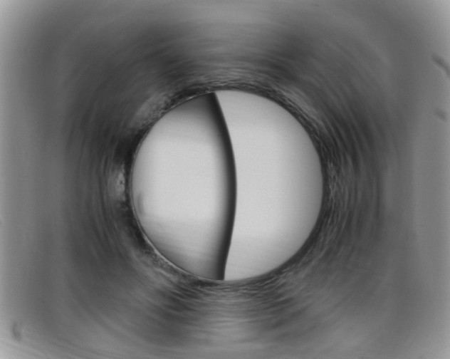 X0000099430502200805090729