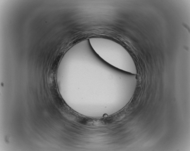 X0000099430503200805090729