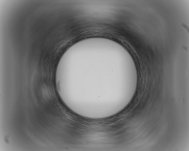 X0000099430505200805090729