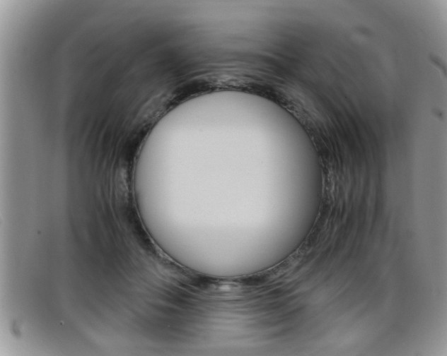 X0000099430506200805090729