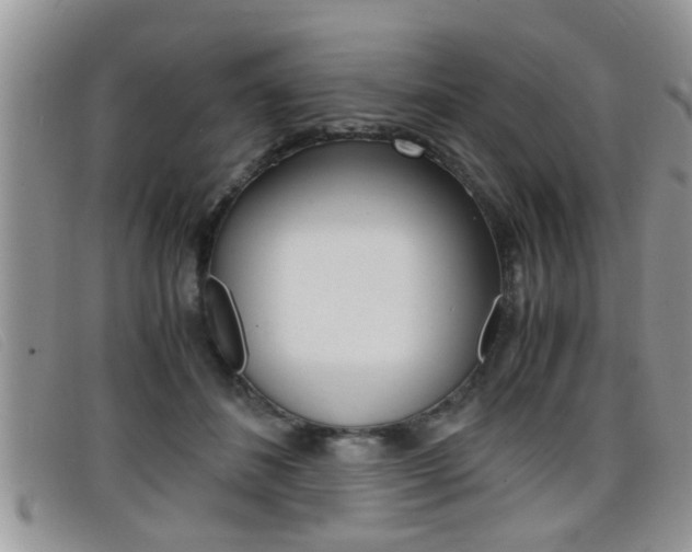 X0000099430508200805090729