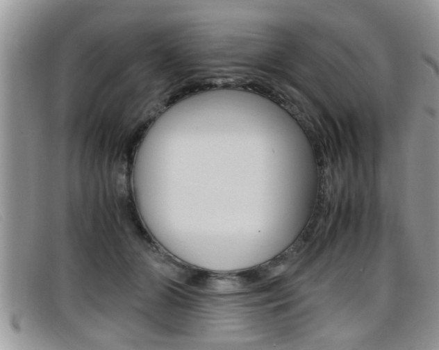 X0000099430510200805090729