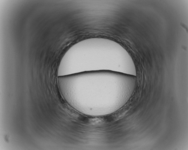 X0000099430511200805090729