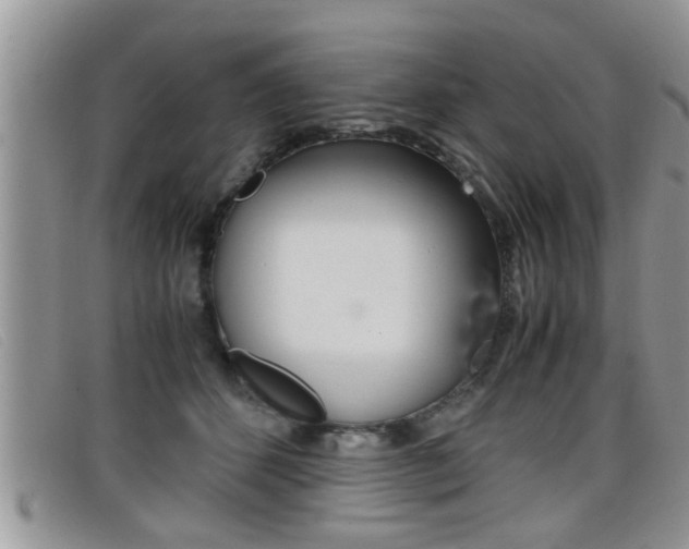X0000099430512200805090729