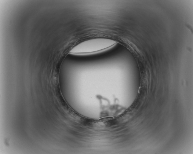 X0000099430513200805090729