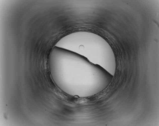 X0000099430514200805090729
