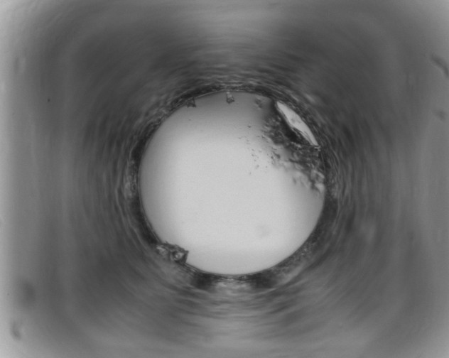 X0000099430515200805090729