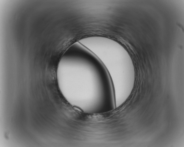 X0000099430517200805090729