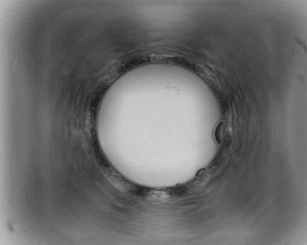 X0000099430519200805090729