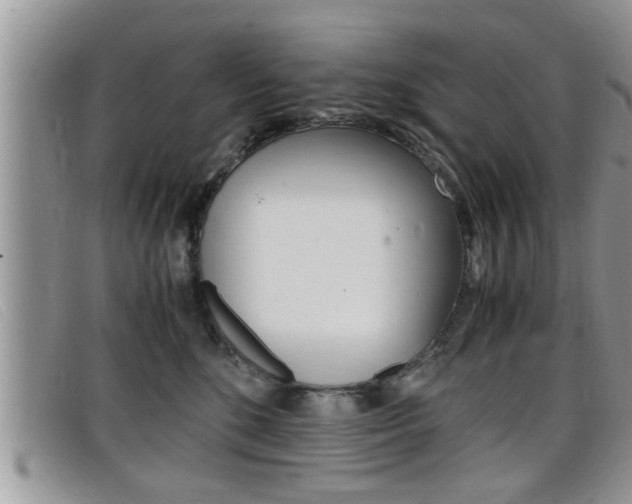 X0000099430520200805090729