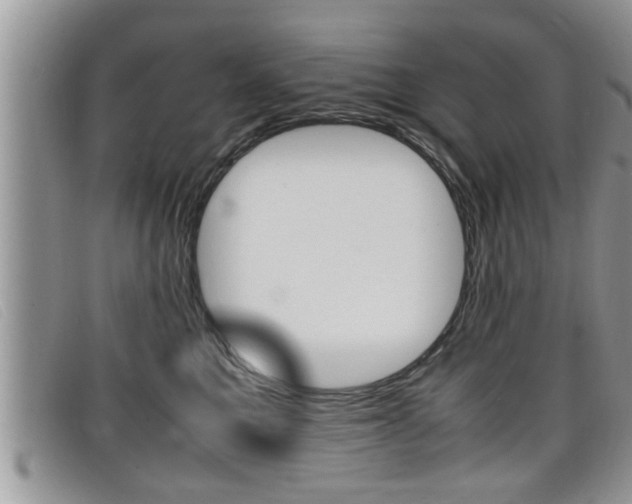 X0000099430521200805090729