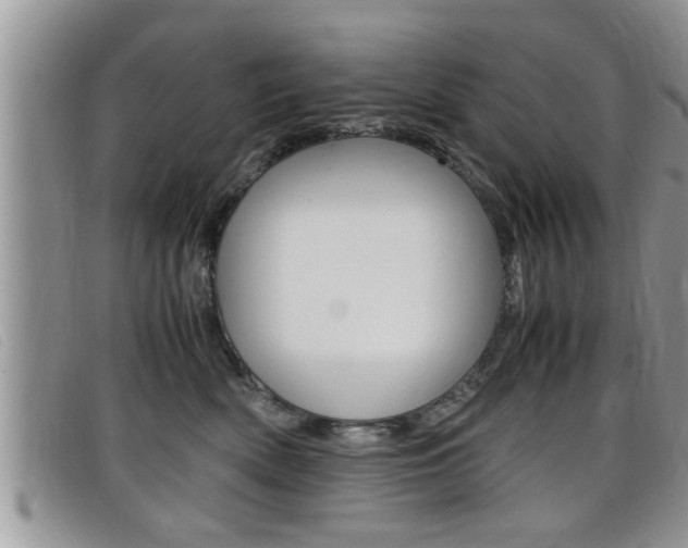 X0000099430522200805090729