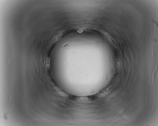 X0000099430525200805090729