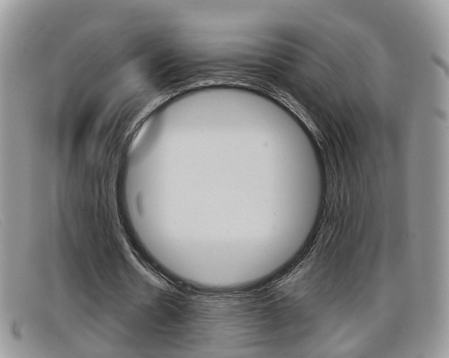X0000099430530200805090728