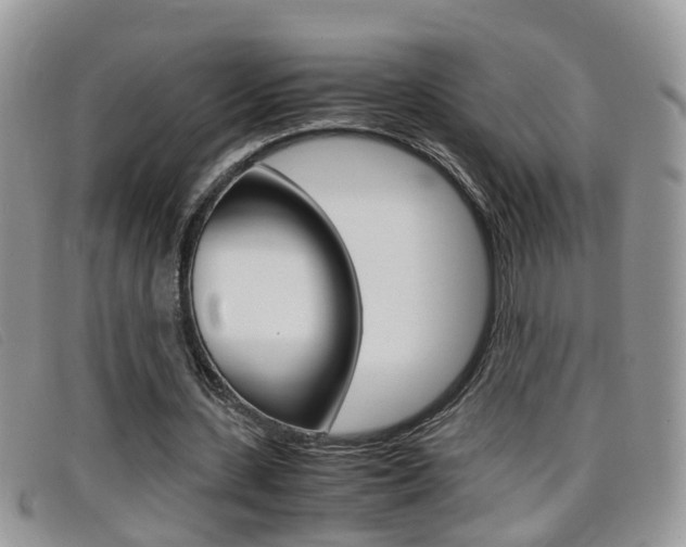 X0000099430531200805090728