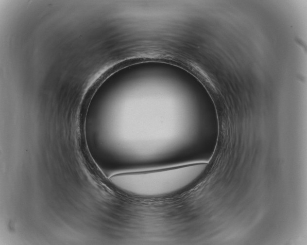 X0000099430532200805090729