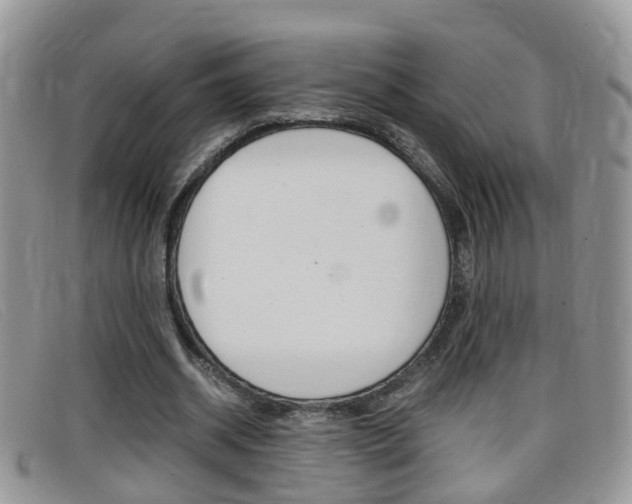 X0000099430534200805090729