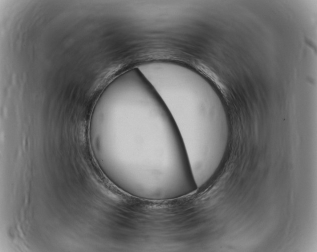 X0000099430537200805090729