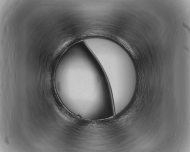 X0000099430538200805090729